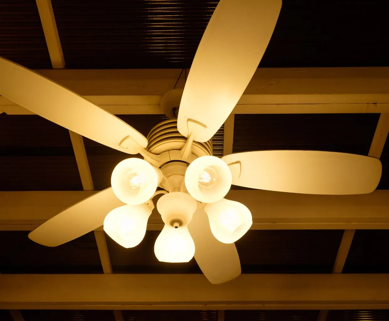 White five-blade ceiling fan with five lit frosted glass shades under a dark slatted ceiling with white beams