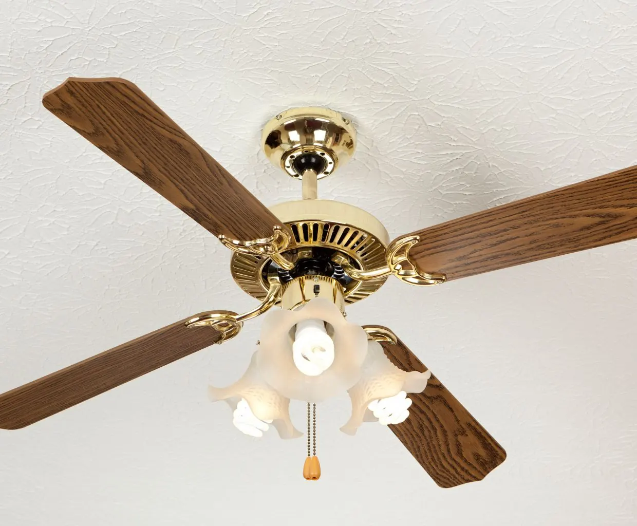 Brass ceiling fan with four wood-grain blades, frosted glass light shades and a pull chain on a textured white ceiling