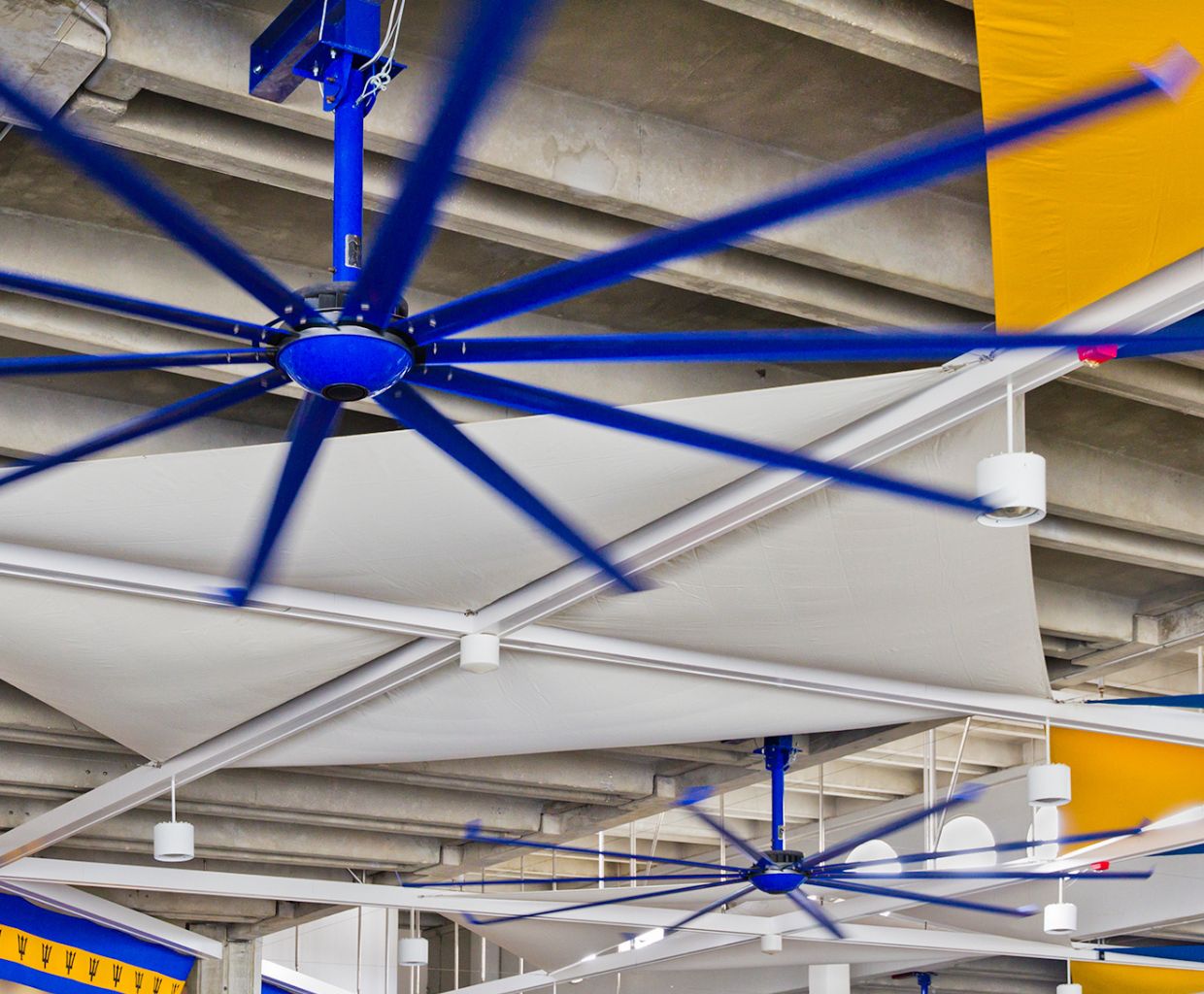 Ceiling Fan Motors Ac Or Dc Shelly Lighting